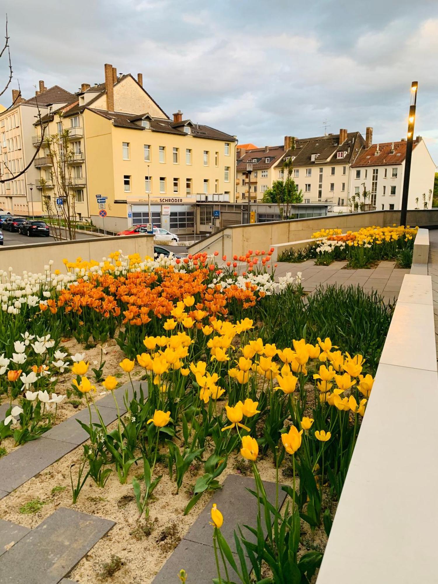 Stadtwohnung Mit Garten Кассель Екстер'єр фото